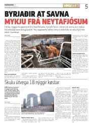 Síða 5