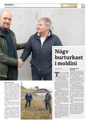 Síða 11