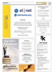Síða 17