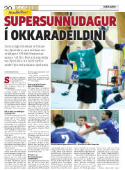 Síða 20
