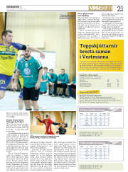 Síða 21