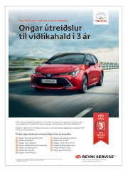 Síða 53