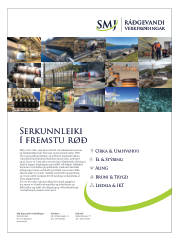 Síða 55