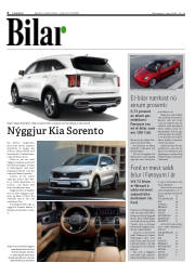 Síða 6