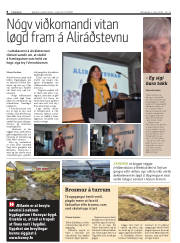 Síða 8