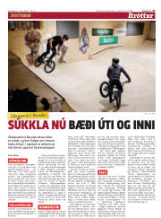 Síða 13