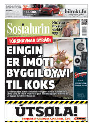 Síða 1
