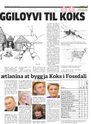 Síða 5
