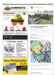 Síða 17