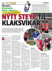 Síða 20