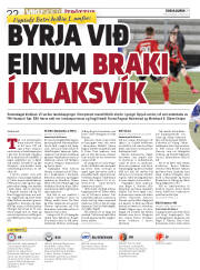 Síða 22