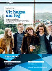 Síða 27