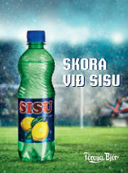 Síða 29