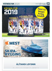 Síða 53