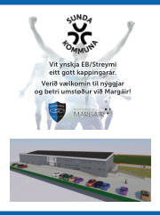 Síða 63
