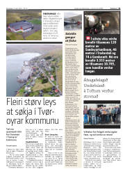 Síða 11