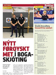 Síða 13