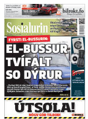 Síða 1