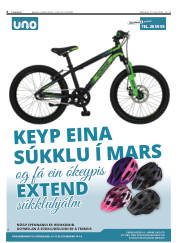 Síða 6