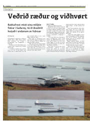 Síða 8
