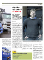 Síða 11