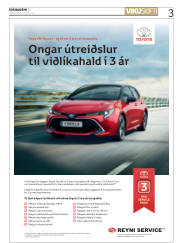 Síða 3