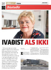 Síða 20