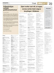 Síða 29