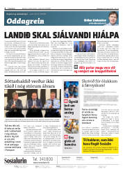 Síða 2