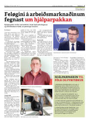 Síða 3