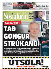 Síða 1