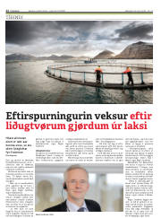Síða 12