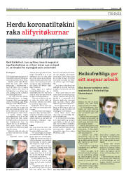 Síða 13