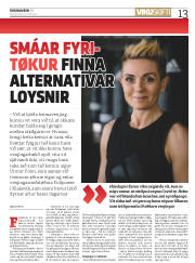 Síða 13