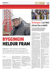 Síða 15