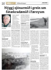 Síða 20