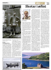Síða 21