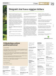 Síða 29