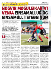 Síða 30