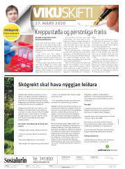 Síða 2