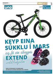 Síða 3