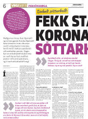 Síða 6