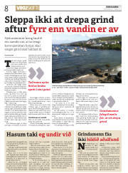 Síða 8