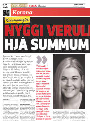 Síða 12