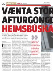 Síða 20