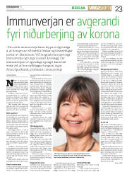 Síða 23