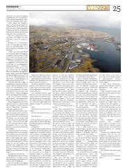 Síða 25