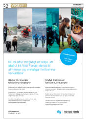 Síða 32