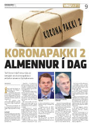Síða 9