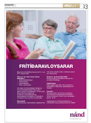 Síða 13